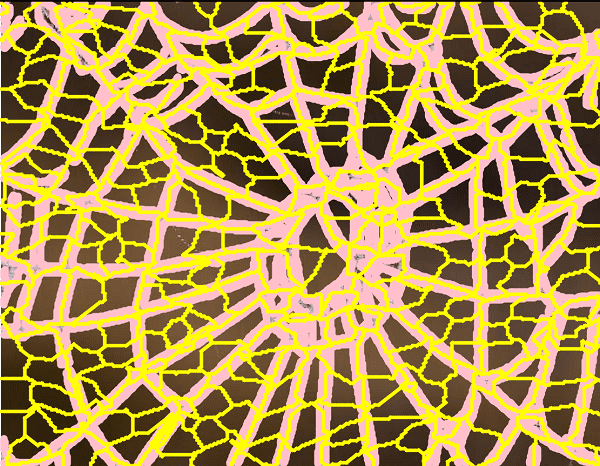 Figure 26