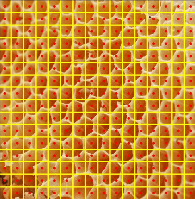 Figure 28