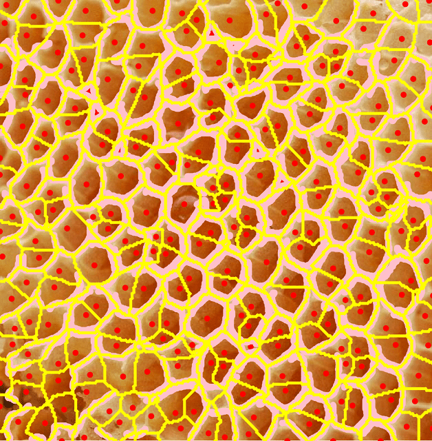 Figure 29