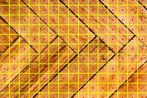 Figure 31
