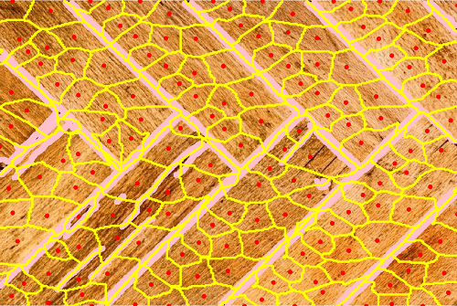 Figure 32