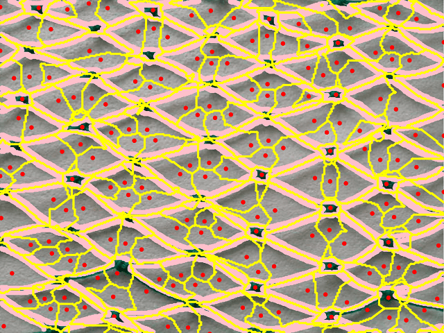 Figure 35