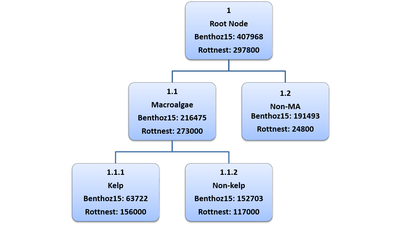 Figure 17