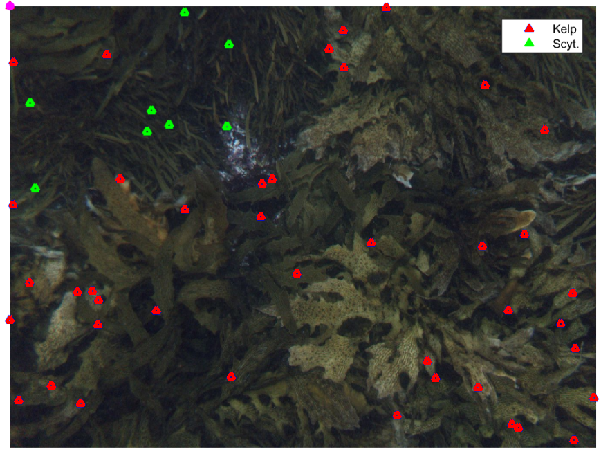 Figure 23