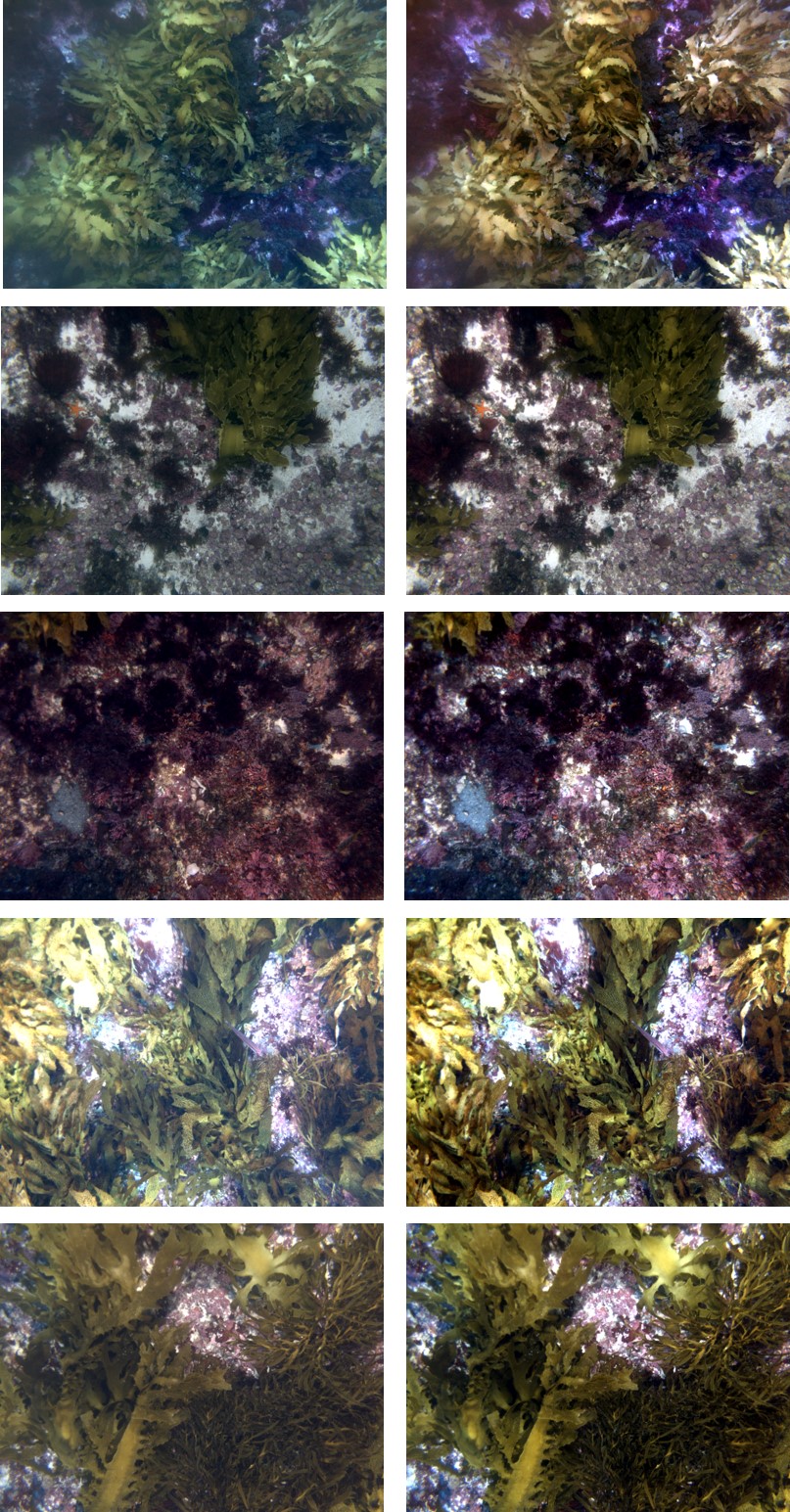 Figure 28