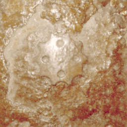 Figure 21