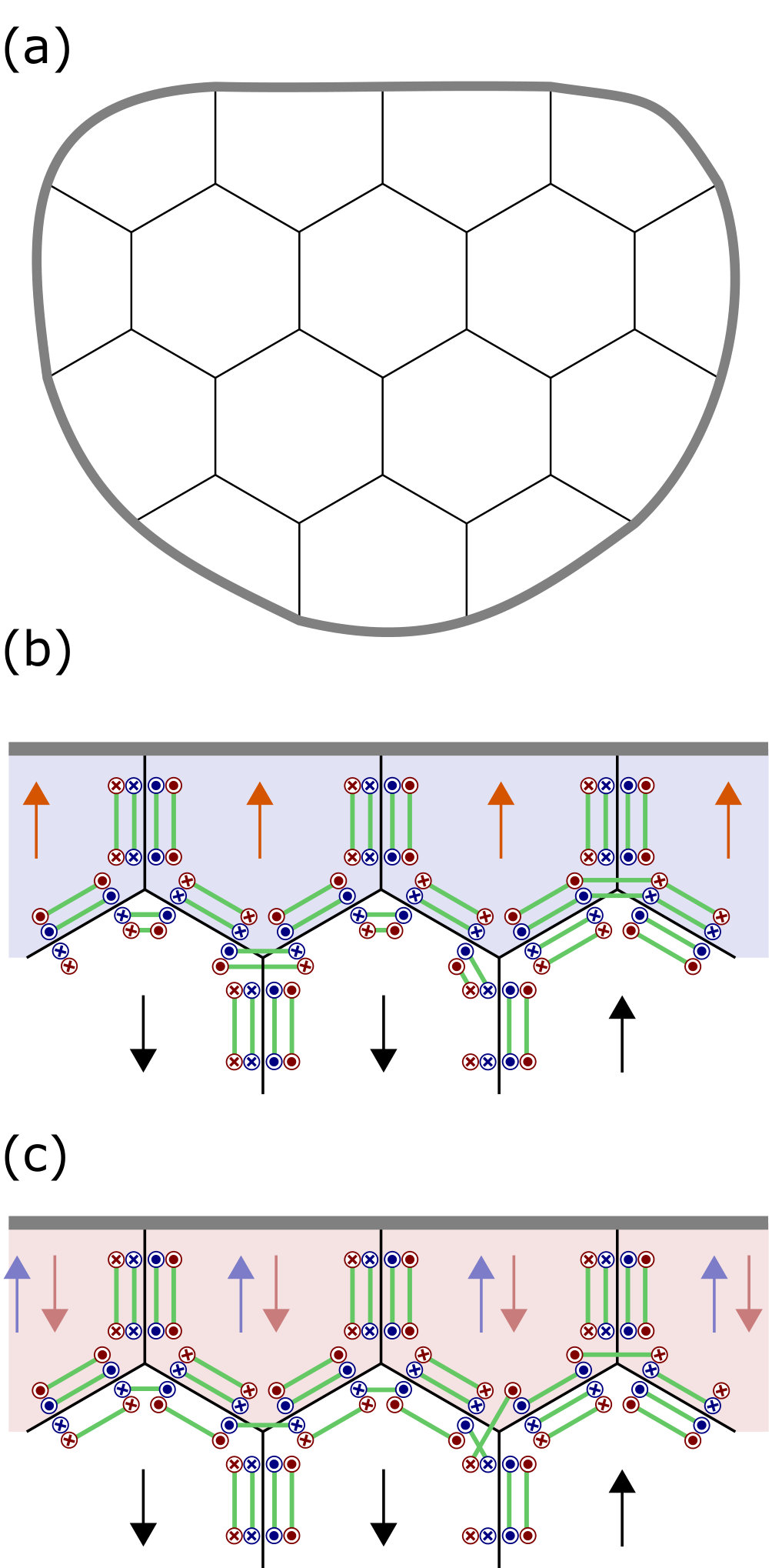 Figure 14