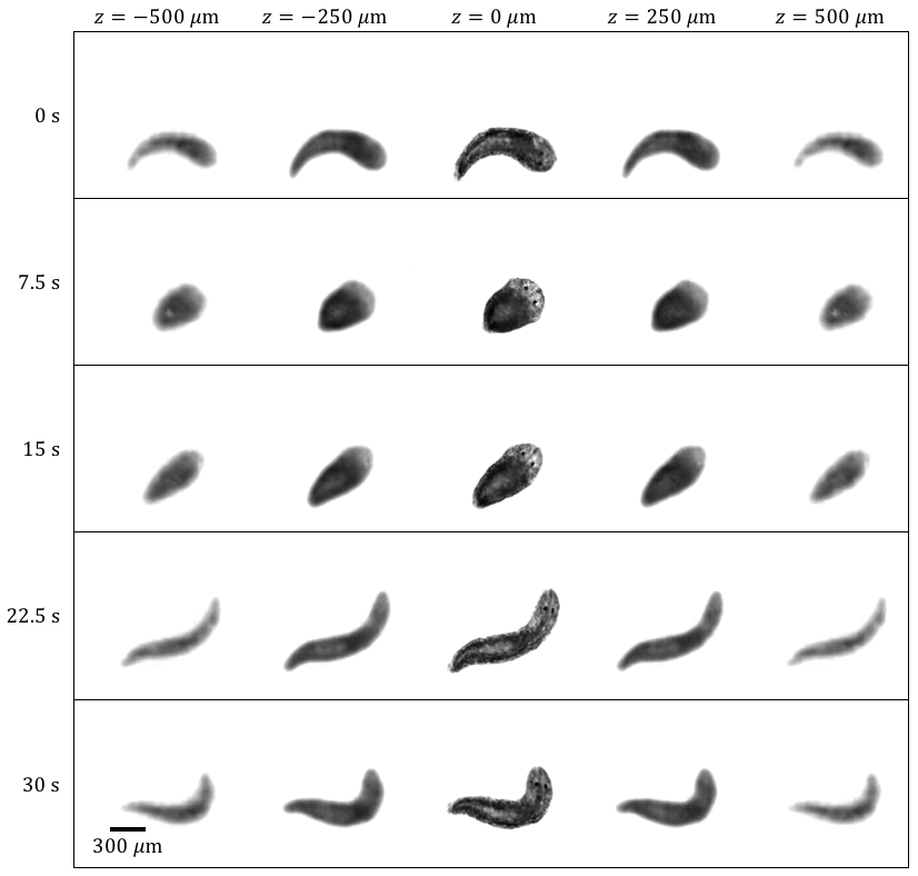 Figure 7