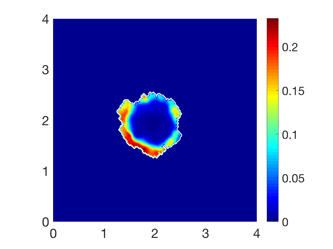 Figure 29