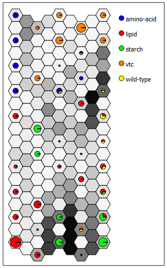 Figure 21