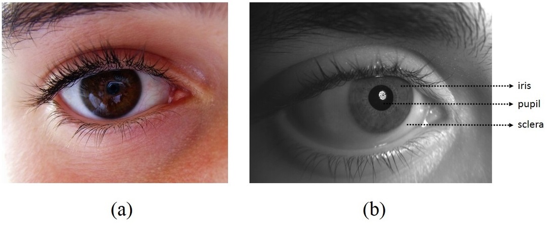Figure 13