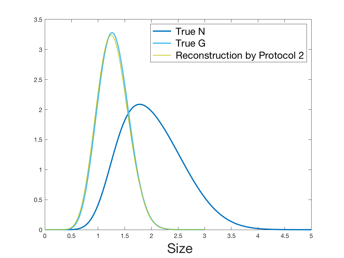 Figure 8