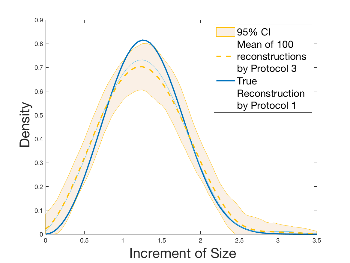 Figure 21