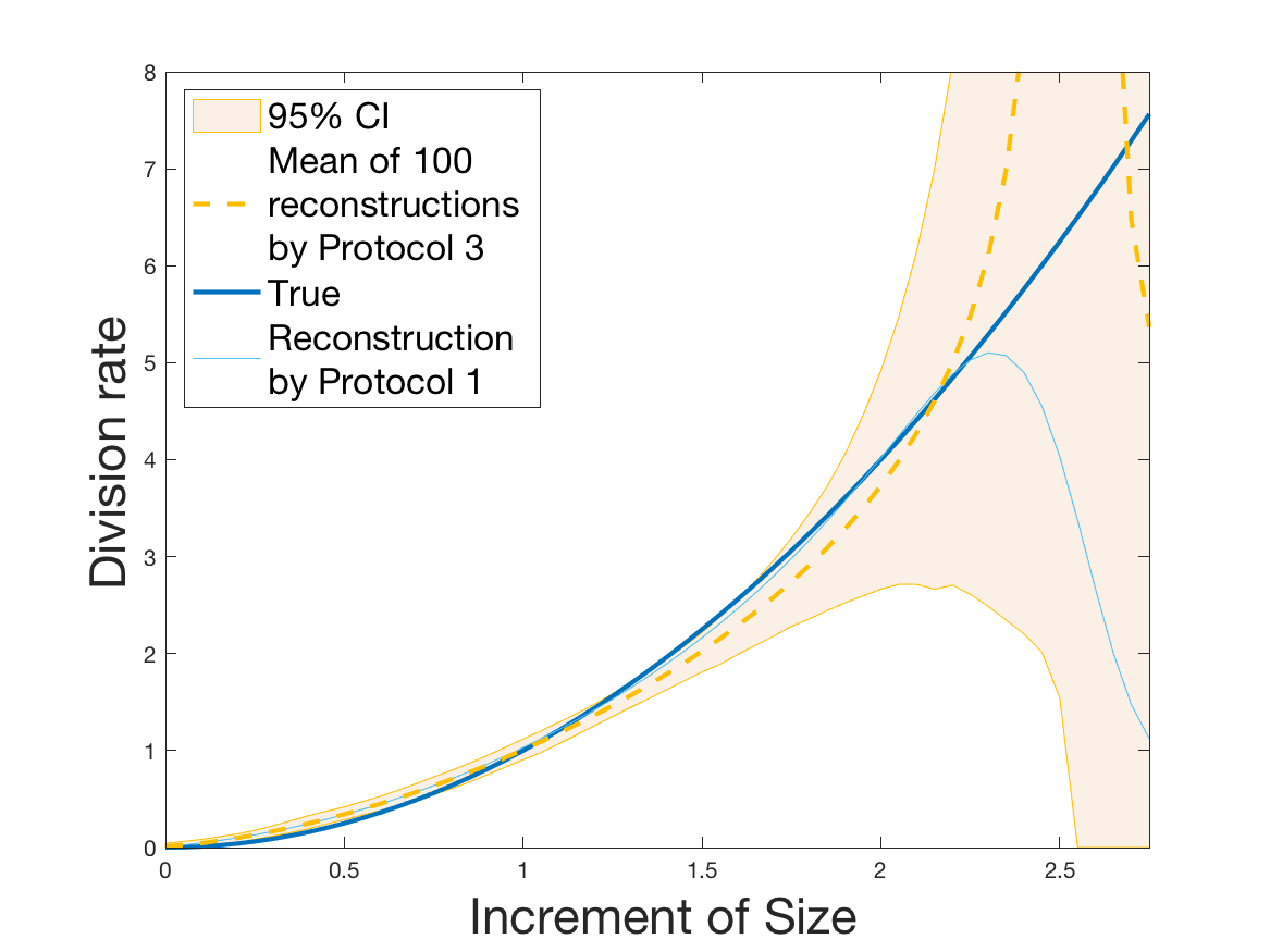 Figure 24