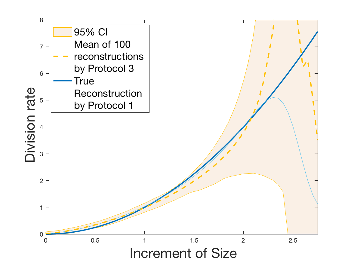 Figure 25