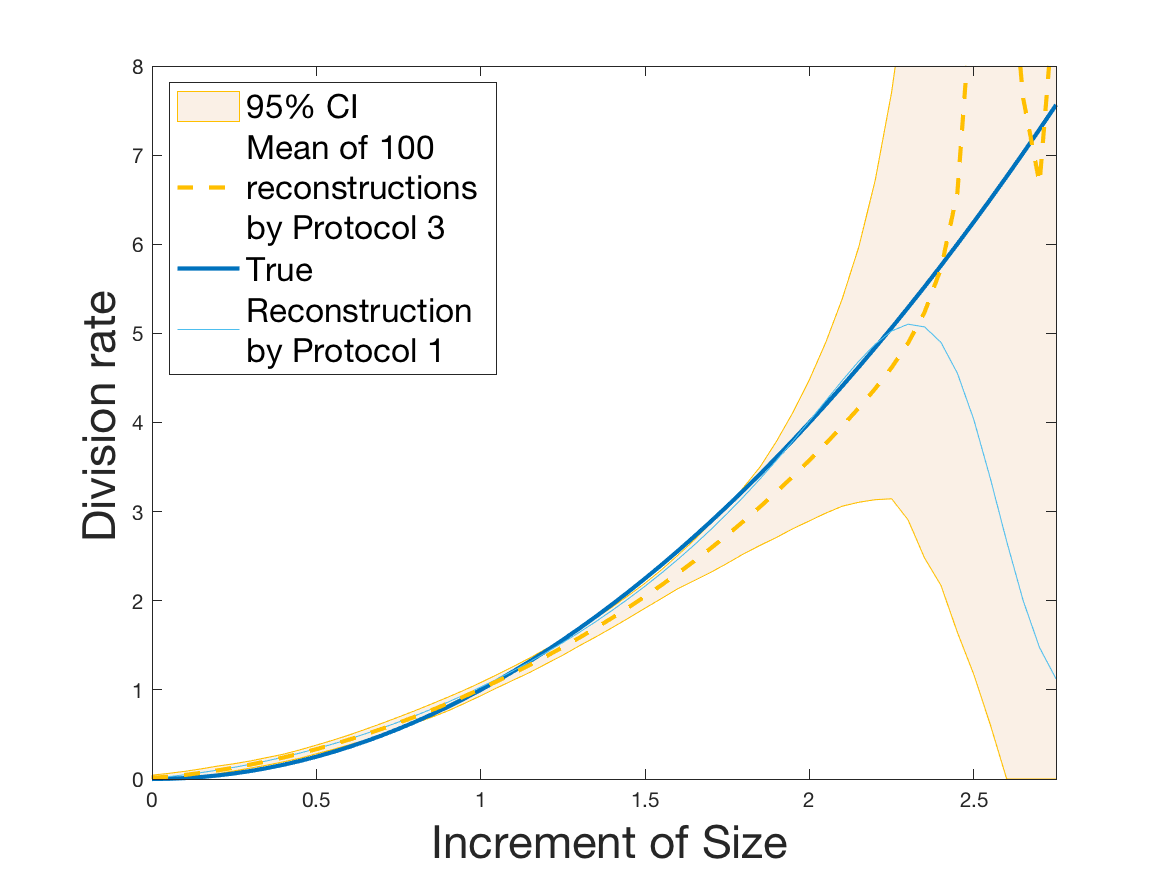 Figure 26