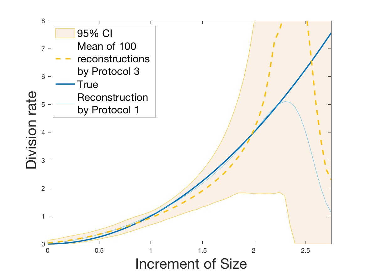 Figure 28