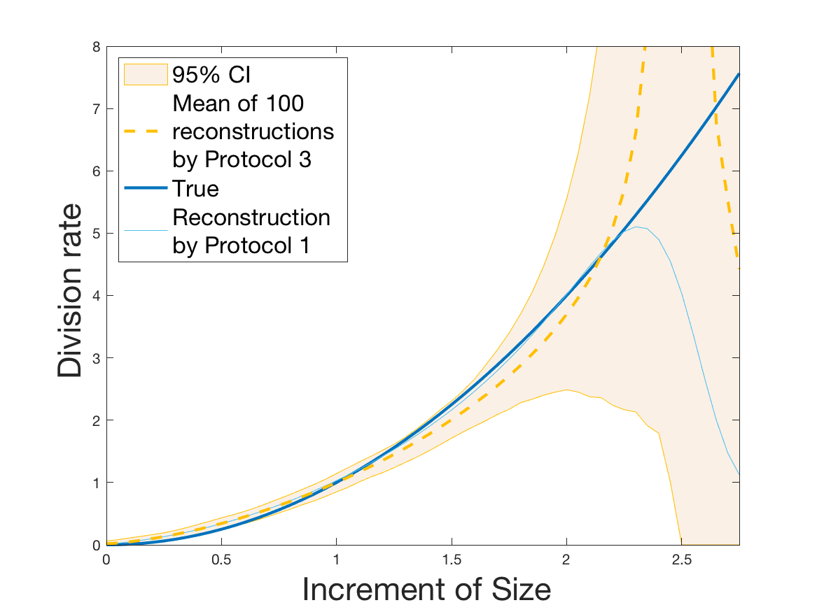 Figure 29