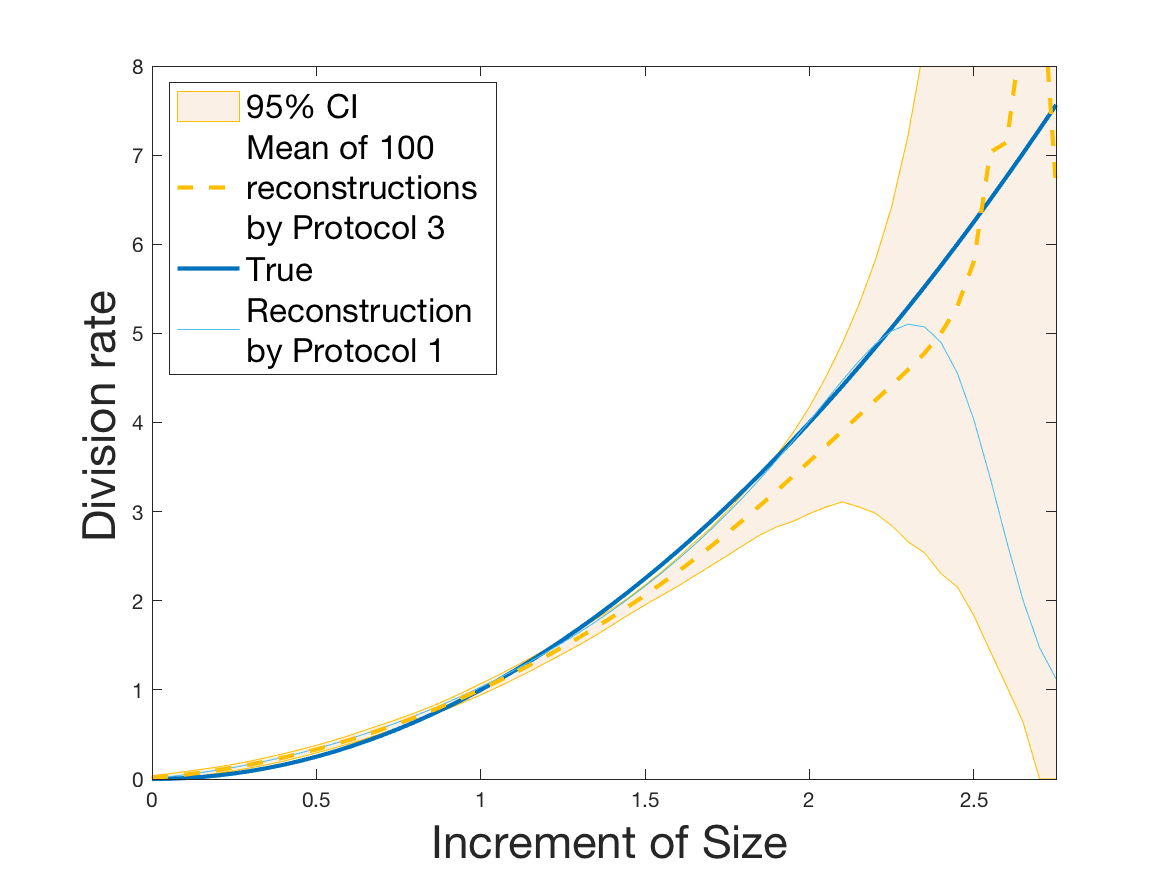 Figure 30