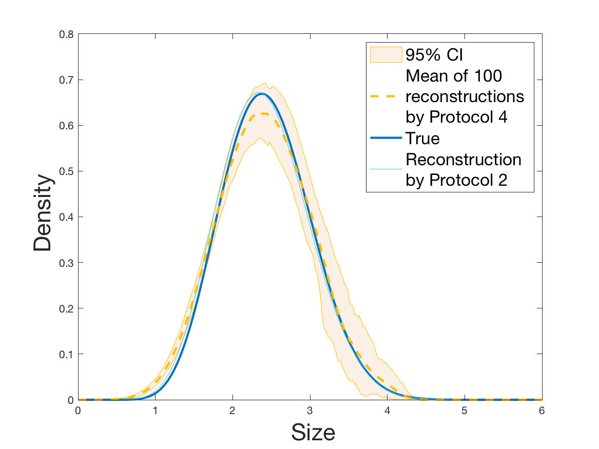 Figure 33