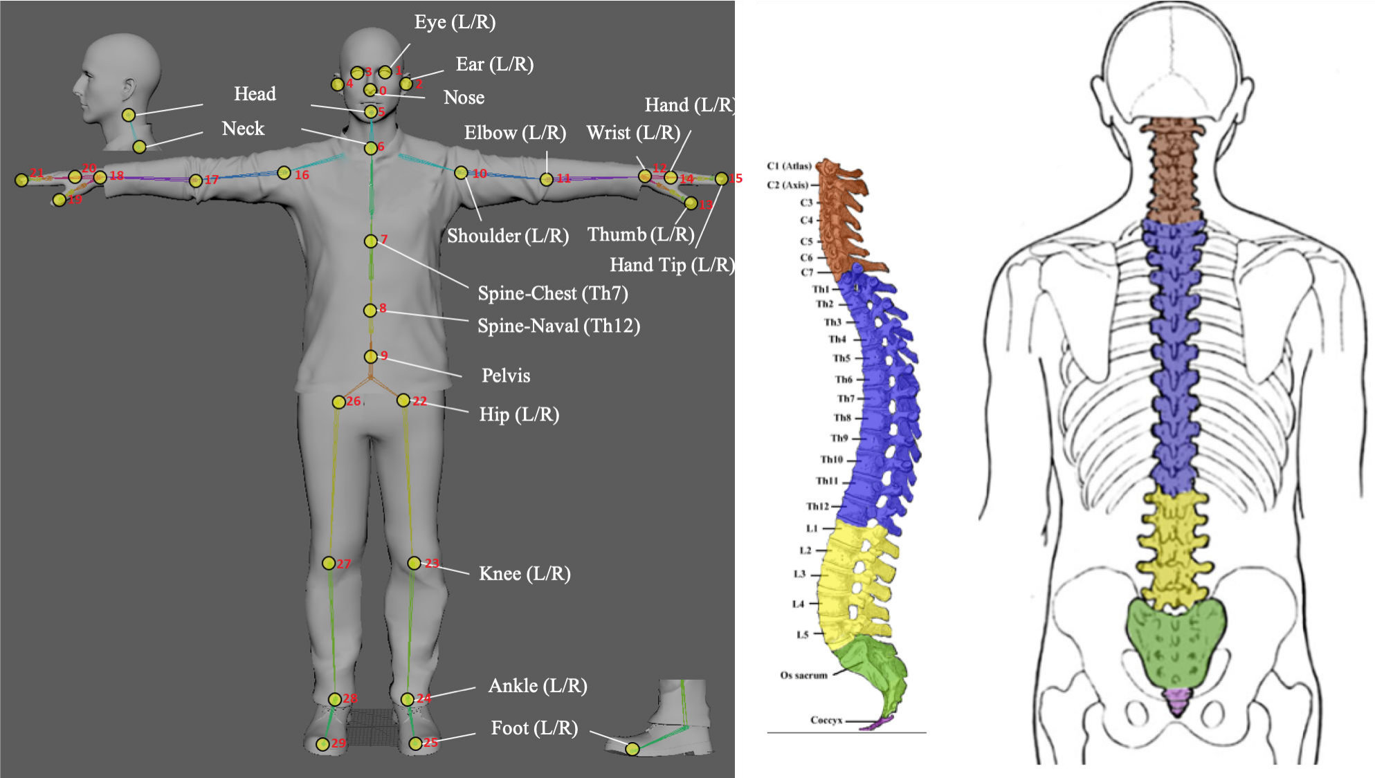 Figure 13