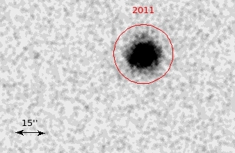 Figure 13
