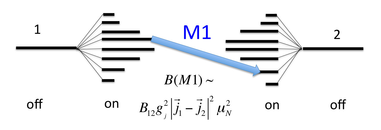 Figure 21