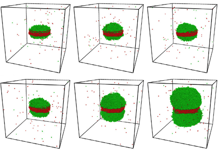 Figure 9