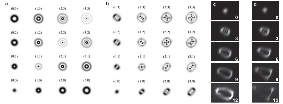 Figure 15