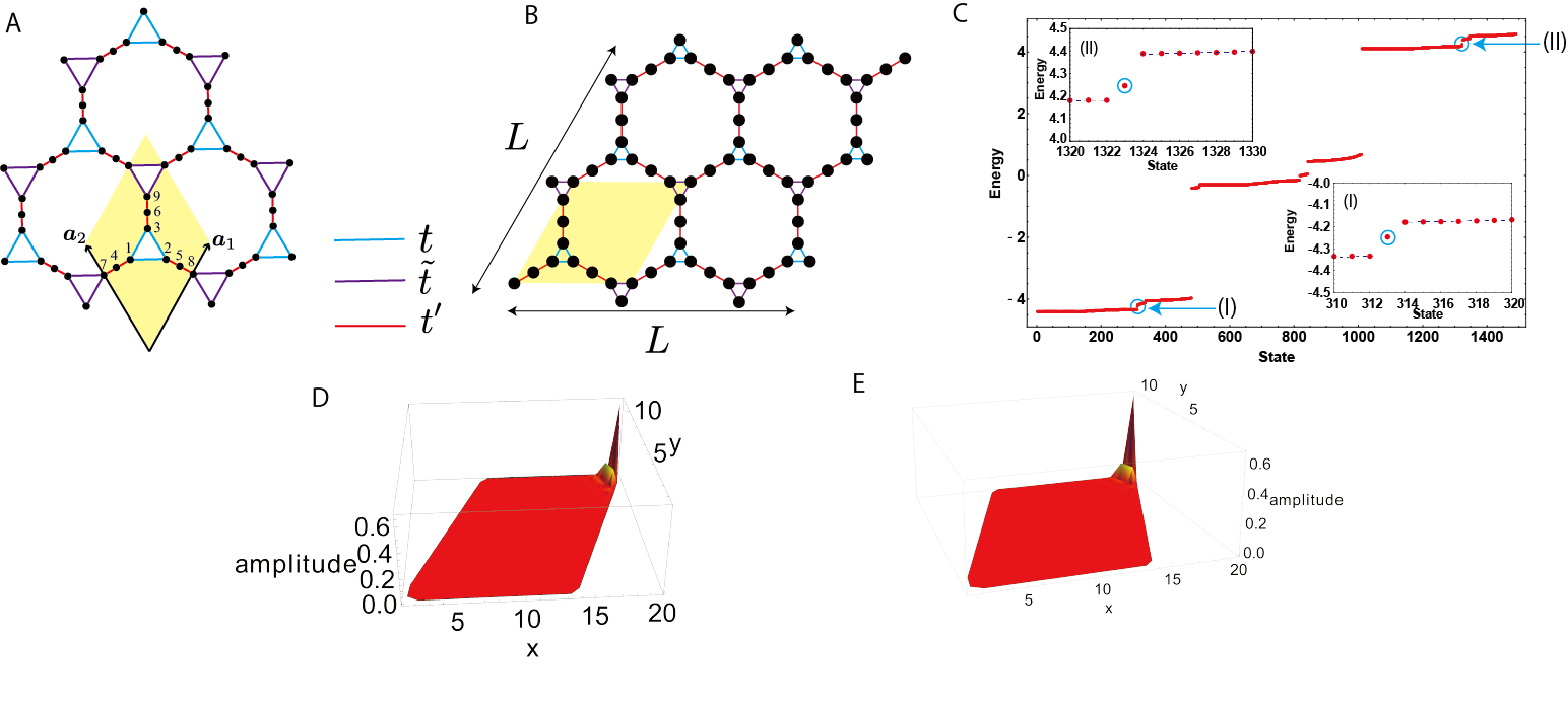 Figure 9