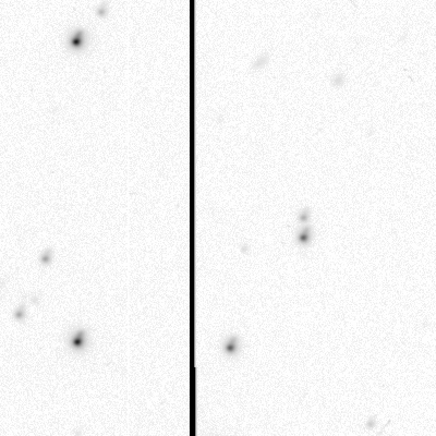Figure 33