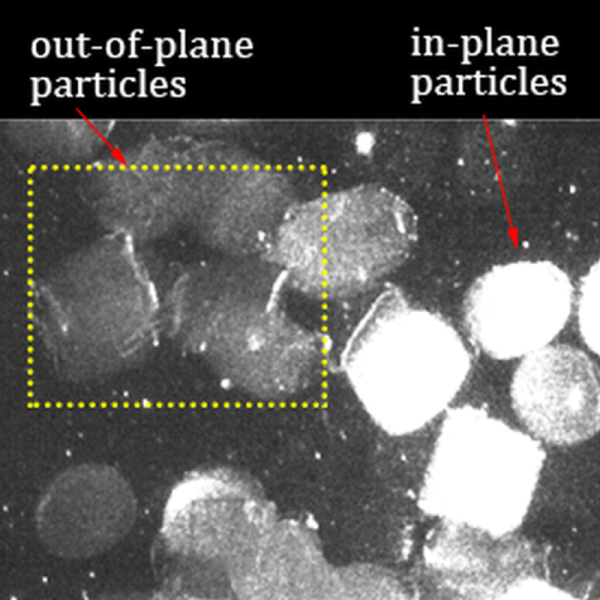 Figure 12