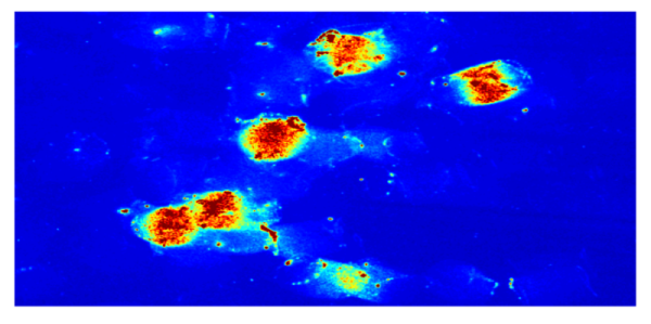 Figure 37