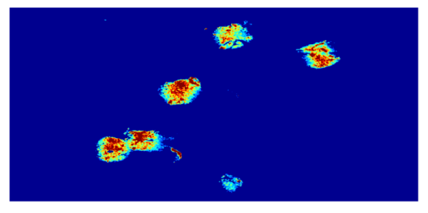 Figure 38