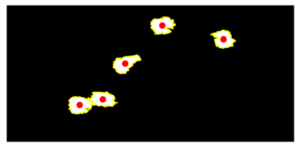 Figure 40