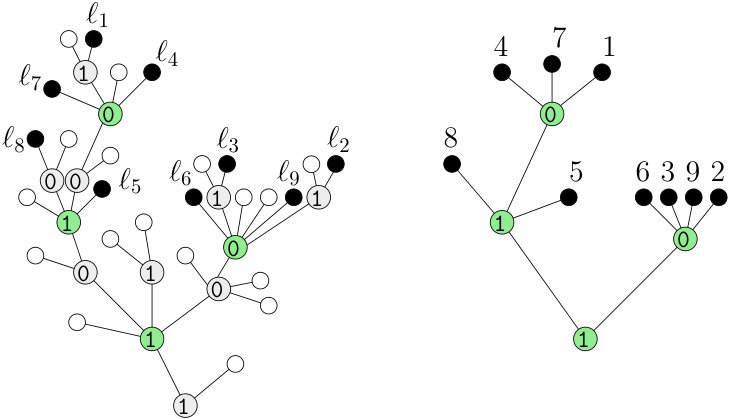 Figure 24