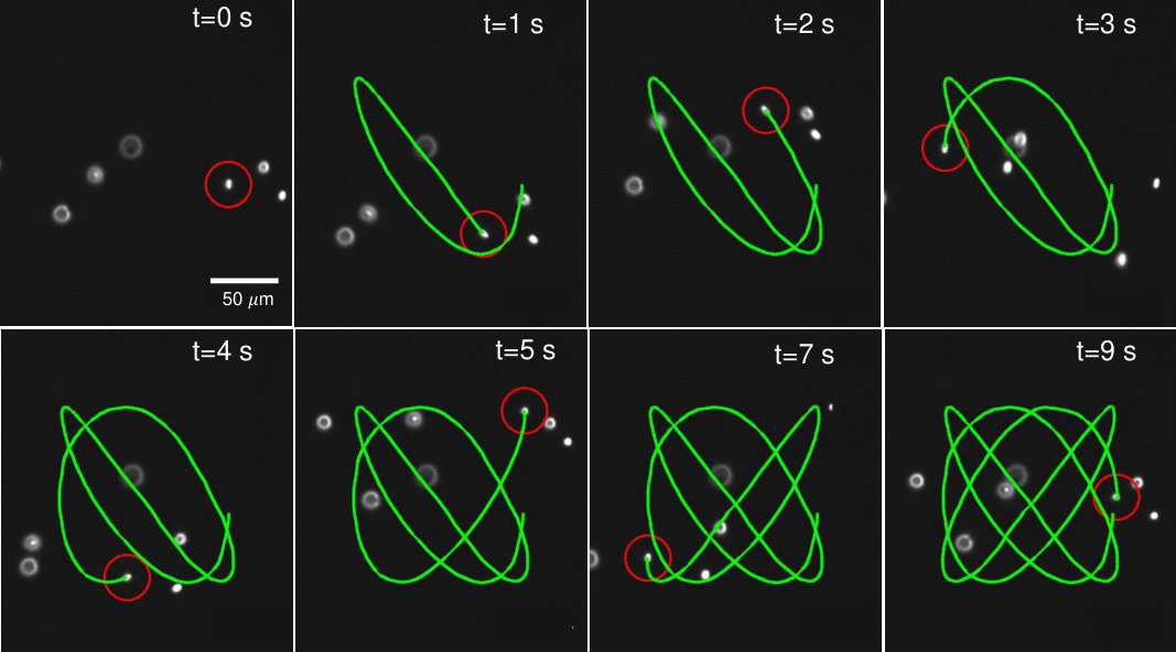 Figure 8