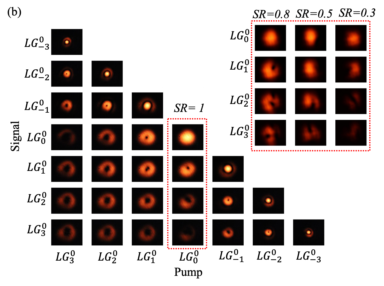 Figure 10