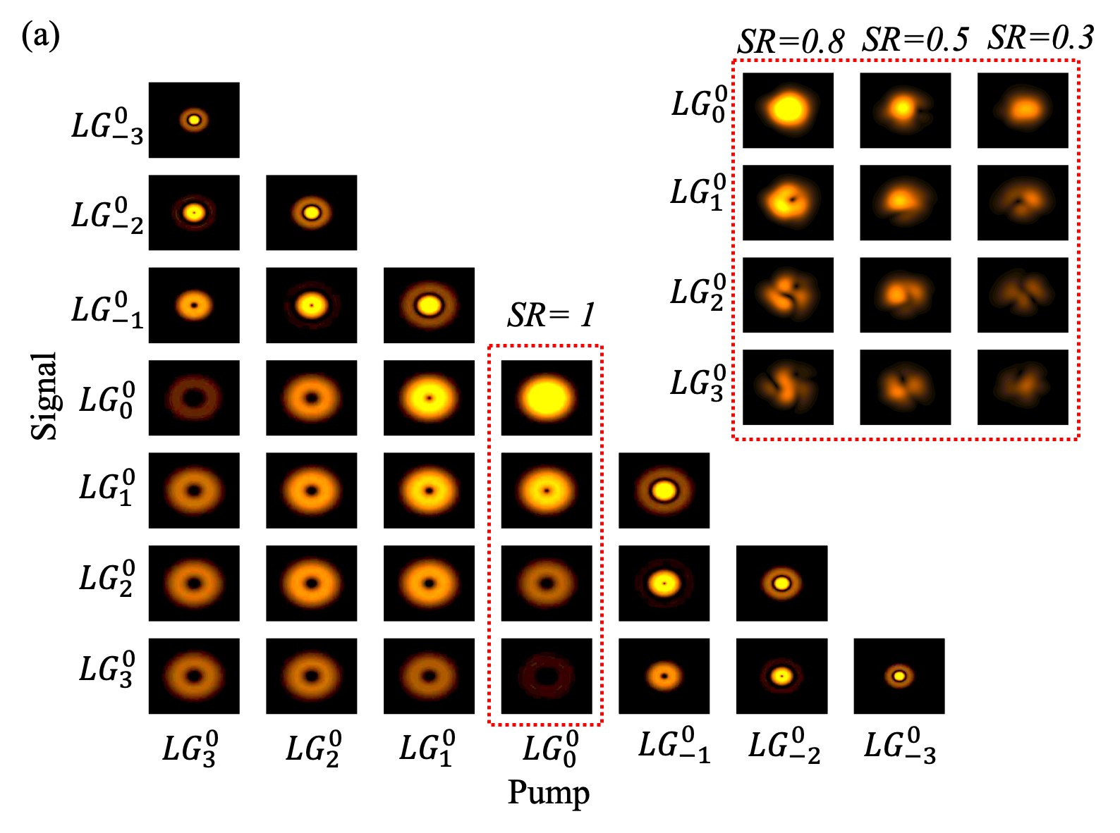 Figure 11