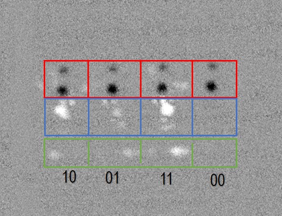 Figure 19