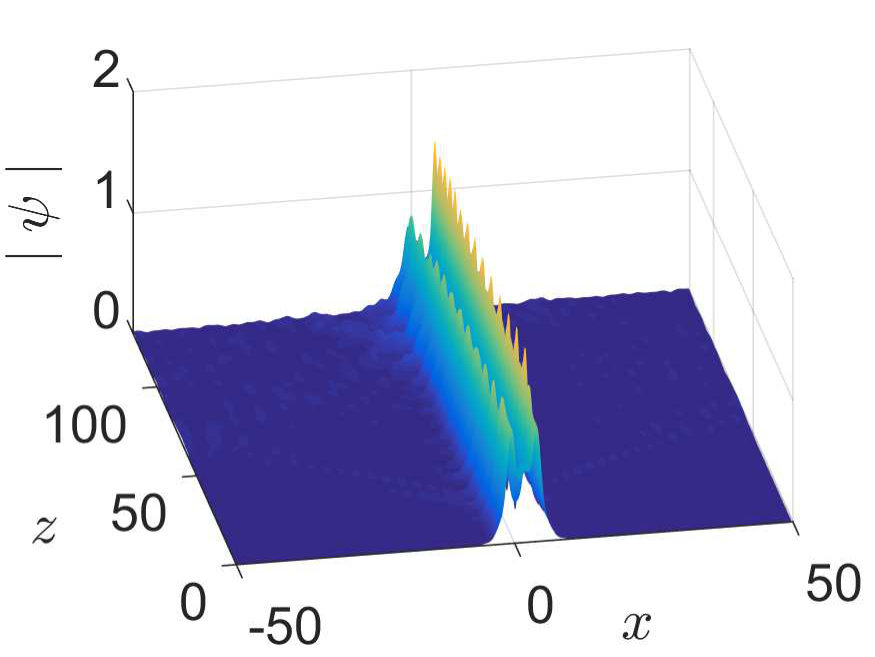 Figure 29