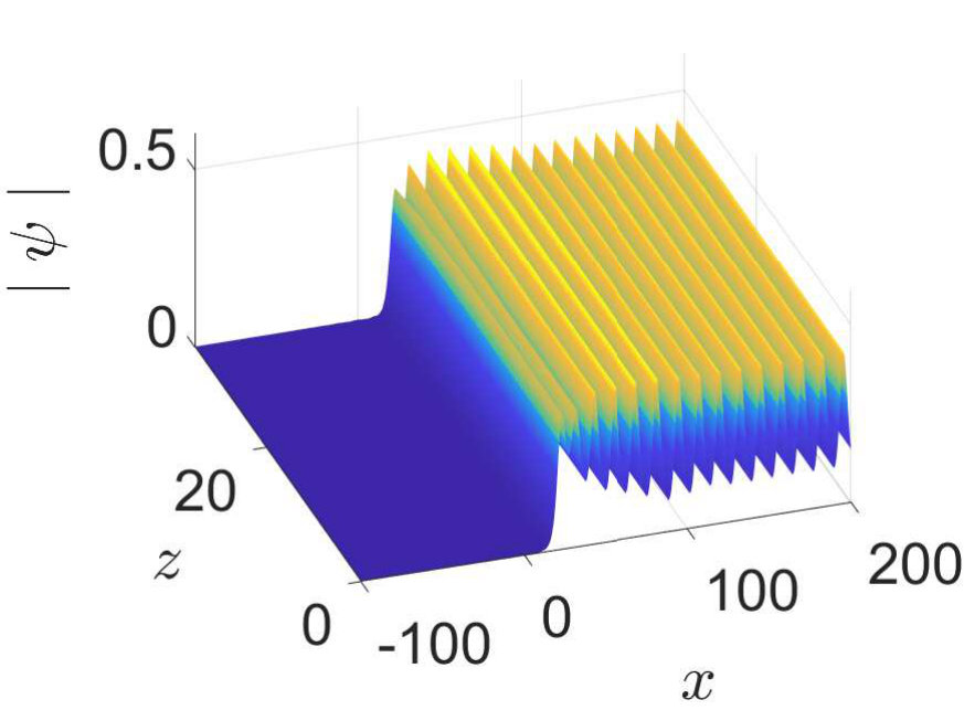 Figure 31