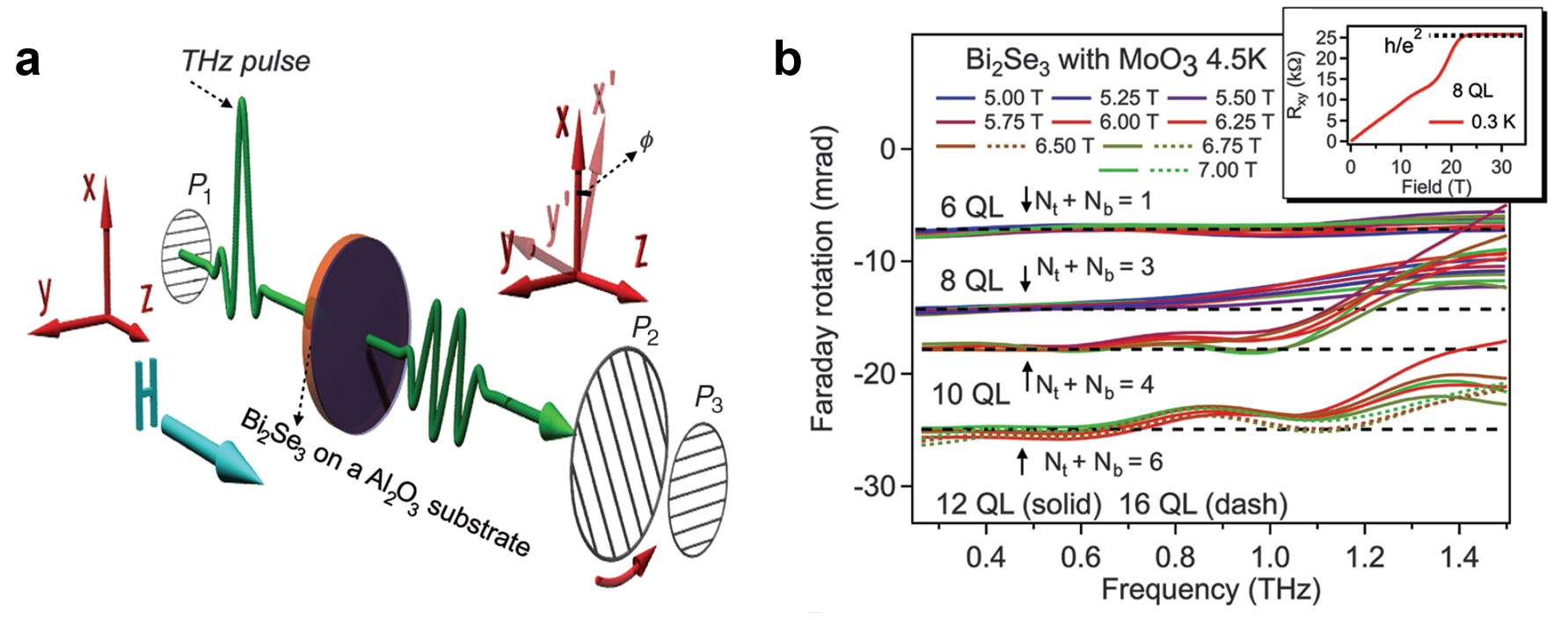 Figure 23
