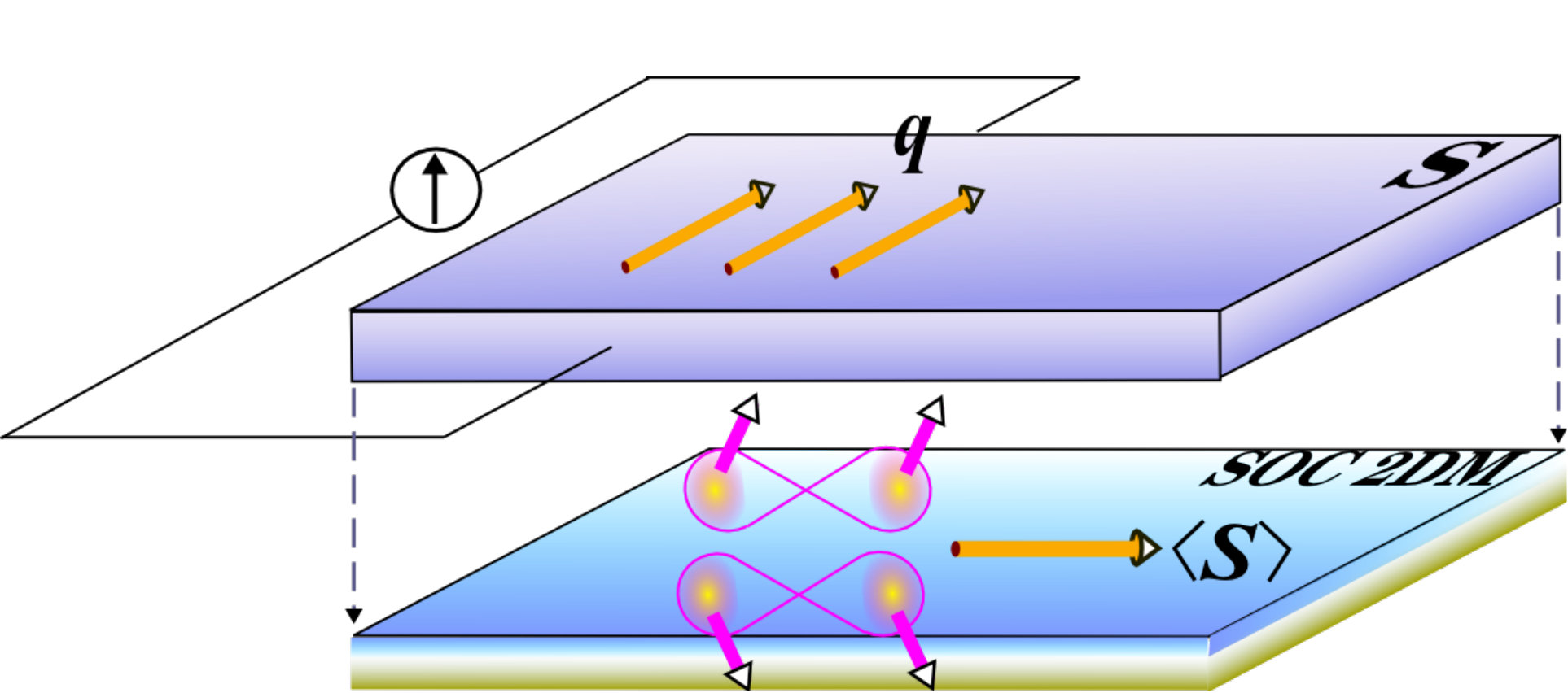 Figure 30