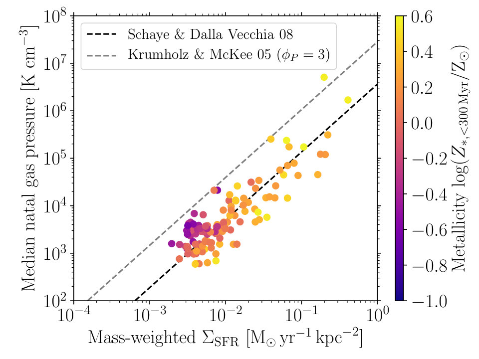 Figure 12