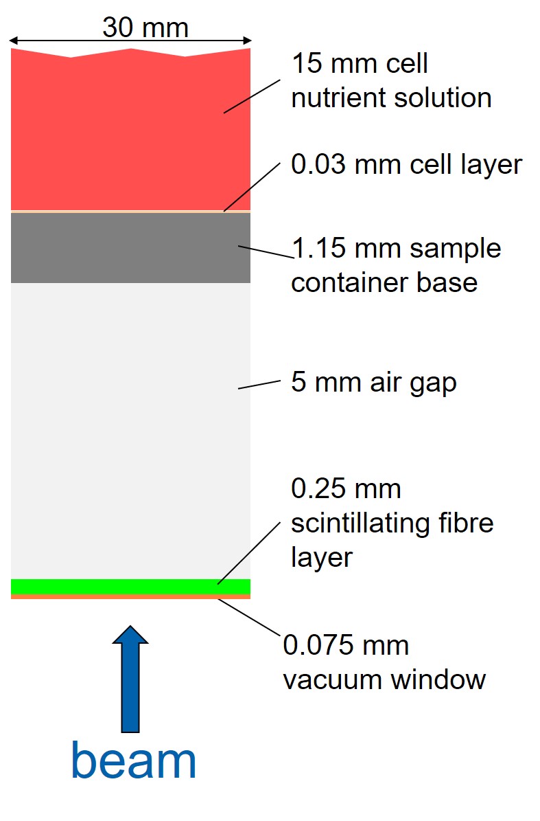 Figure 8