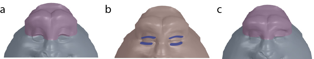 Figure 20
