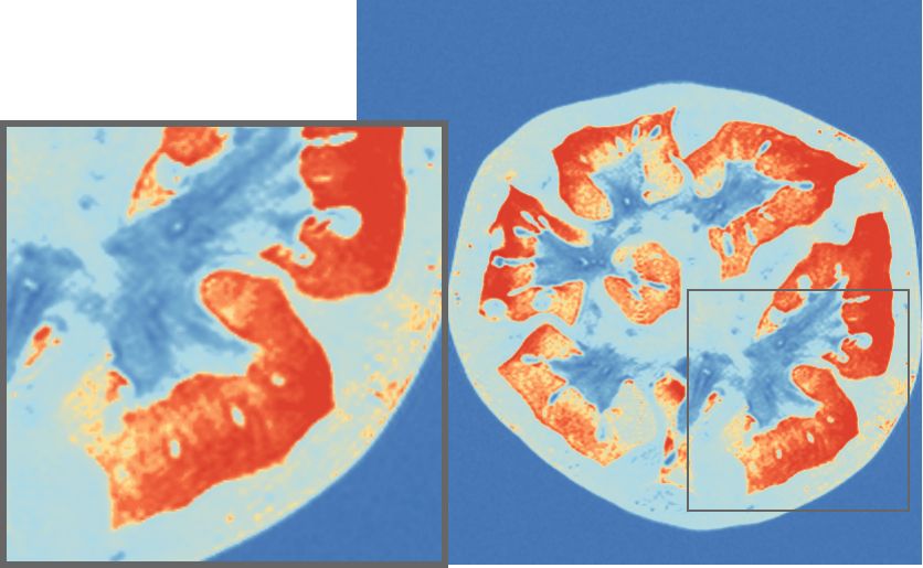 Figure 23