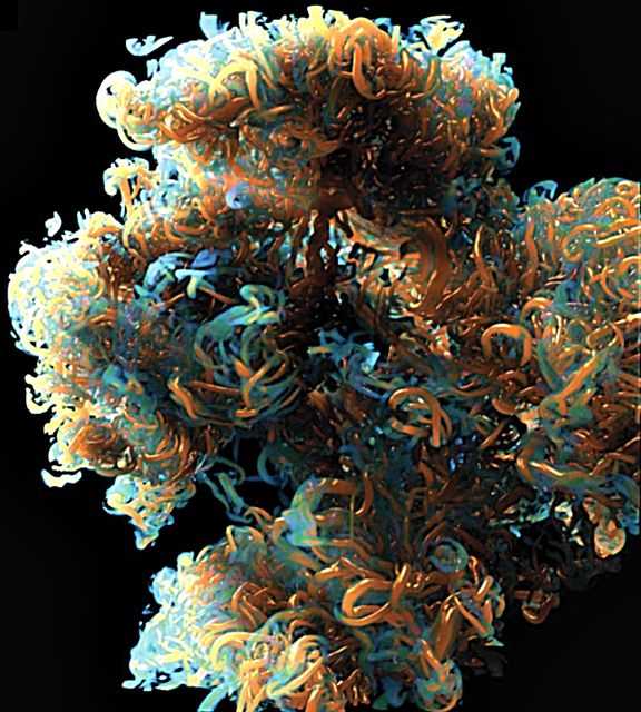 Figure 29