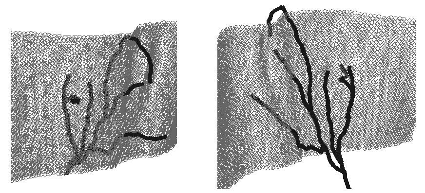 Figure 39